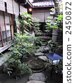 garden, yard, exterior 2450872