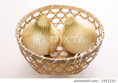 New onion (early yellowing onions) New onion (early yellowing onions) 2451250