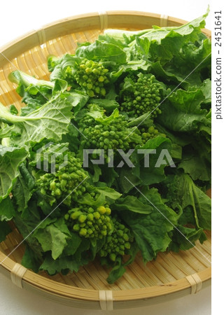 Rape blossoms Rape blossoms 2451641