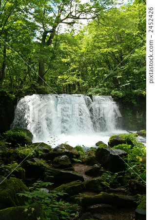 Okitose的Ch子Otaki Okitose的Ch子Otaki 2452426