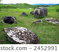 Mysterious vase of Laos · Shaire plain 2452991