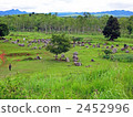 Mysterious vase of Laos · Shaire plain 2452996