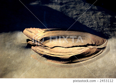 Nichinan coastal rocks Nichinan coastal rocks 2453112