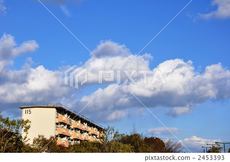 新城的天空 2453393