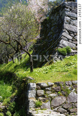 秋月城 秋月城 2454137