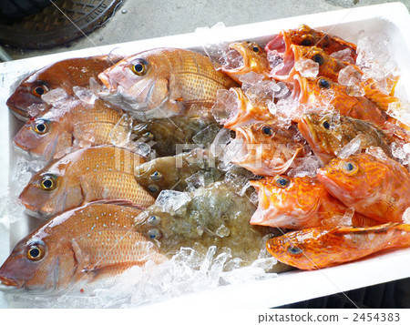 local fish, fresh fish, Marine Product 2454383