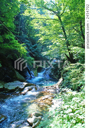 Nishizawa Valley Nishizawa Valley 2454702