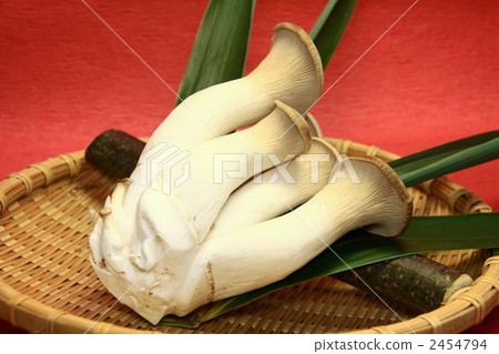 Vegetable Kingdom Gumma 2454794