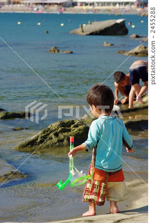 我玩 我玩 2455288