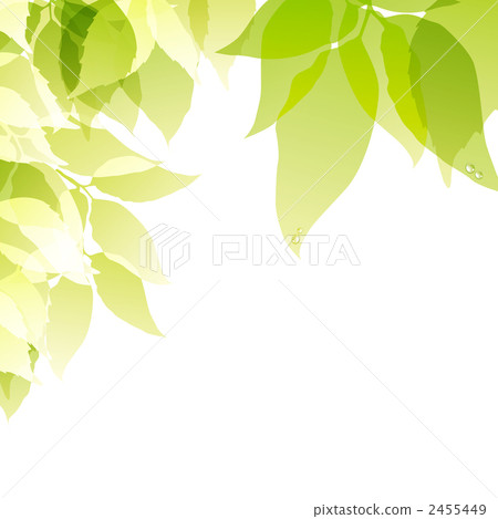 foliage, leaf, leafs 2455449