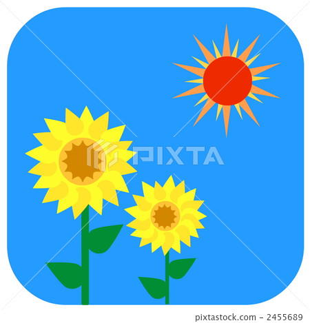 向日葵和太陽 向日葵和太陽 2455689