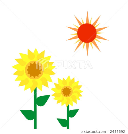 向日葵和太陽 向日葵和太陽 2455692