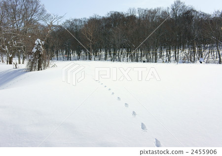 Snowscape footprint Snowscape footprint 2455906