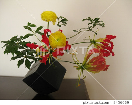 Gloriosa和毛茛屬 Gloriosa和毛茛屬 2456069