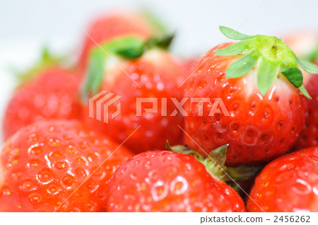 Strawberry landscape composition Strawberry landscape composition 2456262