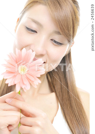 gerbera, gerberas, Young female 2456639