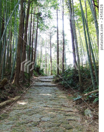 Kumano Kodo Matsumoto Pass Kumano Kodo Matsumoto Pass 2456826