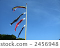 carp streamer, japanese carp-shaped windsock, boys' day 2456948