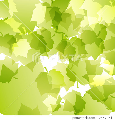 foliage, leaf, leafs 2457261