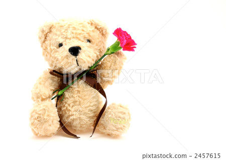 Teddy bear with carnation Teddy bear with carnation 2457615
