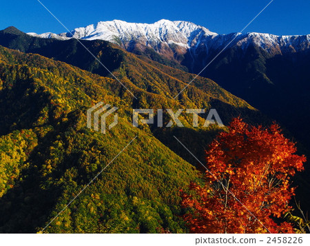 新Yuki Akaishidake 2458226