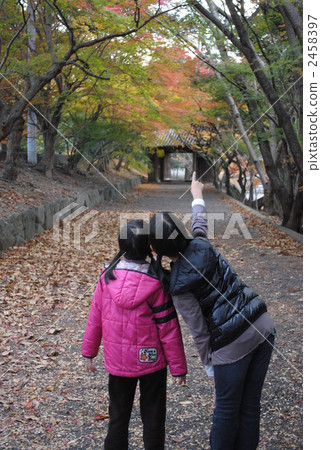 姐妹 閨密 姊妹淘 2458397