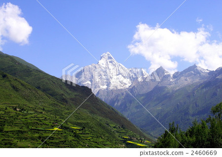 Four girls mountain 2460669