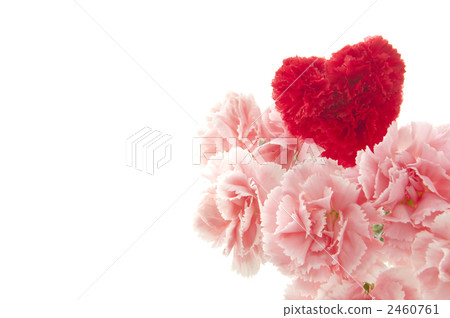 Carnation with a heart on Mother's Day Carnation with a heart on Mother's Day 2460761