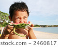 吃 品嚐 兒童 2460817