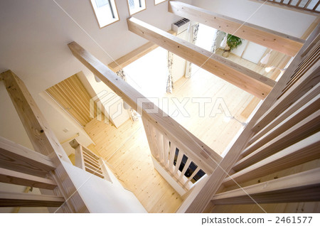 住在柱廊-5 住在柱廊-5 2461577