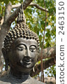 Buddha statue of Sri Lanka 2463150