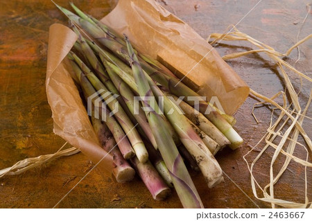 竹筍 那馬咖哩竹 春蔬 2463667