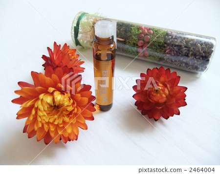 香氣精油數碼單鏡頭反光照相機紅獅子魚 精油 乾花 2464004