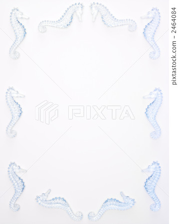 Seahorse frame Seahorse frame 2464084