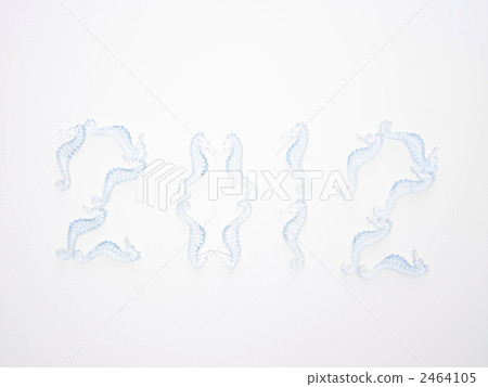 Seahorse (2012) Seahorse (2012) 2464105