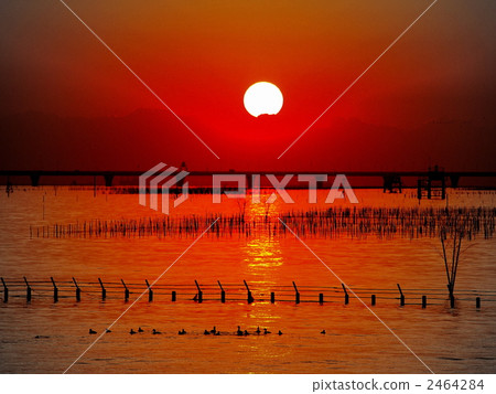 Sunset and birds and aqua line Sunset and birds and aqua line 2464284