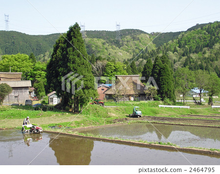 Rice planting at a town's village ② Makino-machi, Shiga prefecture Rice planting at a town's village ② Makino-machi, Shiga prefecture 2464795