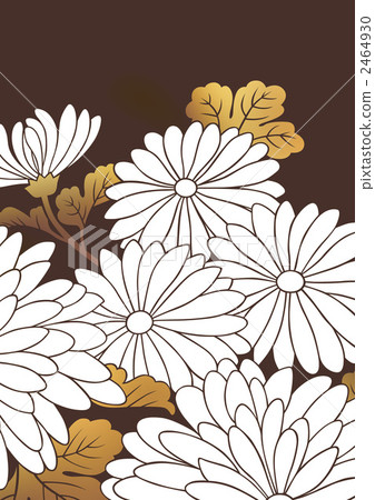 花瓣 花花瓣 數碼成像圖片 2464930