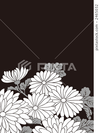 花瓣 花花瓣 數碼成像圖片 2465032