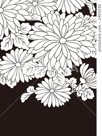 花瓣 花花瓣 數碼成像圖片 2465036