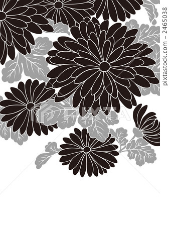 花瓣 花花瓣 數碼成像圖片 2465038