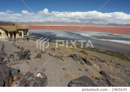 （玻利維亞）拉古納紅色湖·科羅拉多 2465634