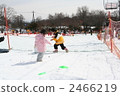 snowball fight 2466219