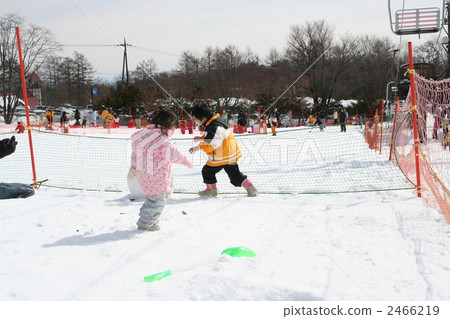 雪球戰鬥 2466219
