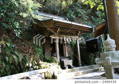 Money is doubling? Visiting Shimanto Benten Money is doubling? Visiting Shimanto Benten 2466439