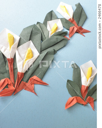 Water Basho Water Basho 2466478