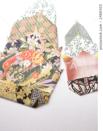 Bamboo shoot 2466503