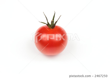 Mini Tomato Mini Tomato 2467250