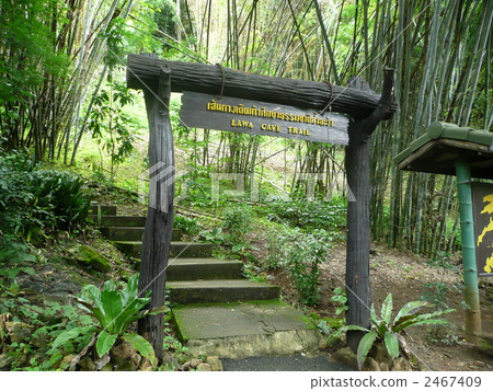 Thailand lawa cave entrance Thailand lawa cave entrance 2467409
