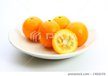 金橘 金橘 2468250